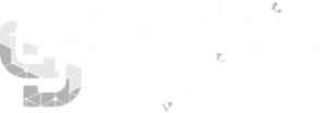 Lsdw Xs 300x104